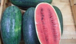 国产网红黑料吃瓜群号,吃瓜群号背后的真相与争议